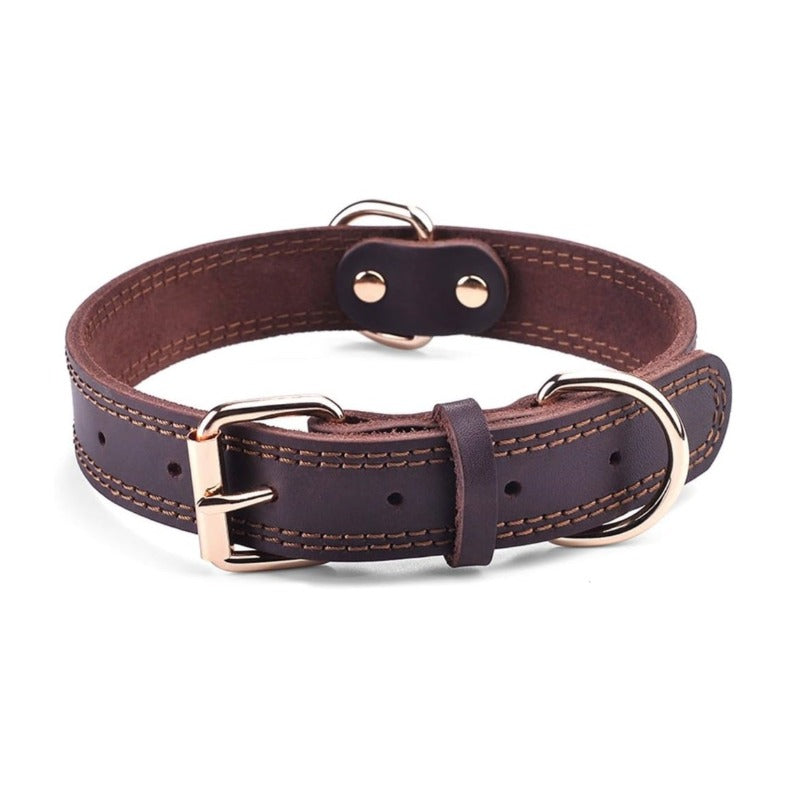 Dog Collar
